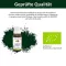 Bitterkraft Original flüssig (20 ml)