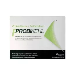 PROBIKEHL Kapseln, 40 St