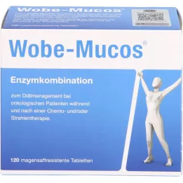 WOBE-MUCOS magensaftresistente Tabletten, 120 St