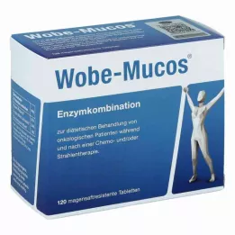 WOBE-MUCOS magensaftresistente Tabletten, 120 St