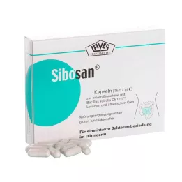 Sibosan Kapseln, 60 St