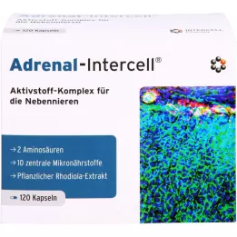ADRENAL-Intercell Kapseln, 120 St