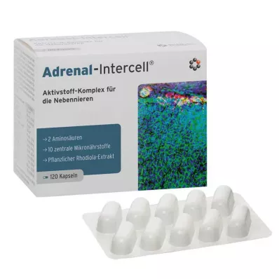 ADRENAL-Intercell Kapseln, 120 St
