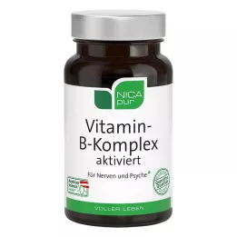 NICAPUR Vitamin B Komplex aktiviert Kapseln, 60 St