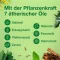 Salviathymol N MADAUS Flüssigkeit, 100 ml