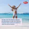 ABTEI Beta-Carotin Plus Hautaktive B-Vitamine Kps., 50 St