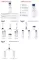 Instructions for use for EUCERIN UreaRepair ORIGINAL Lotion 10%, 250 ml - 2