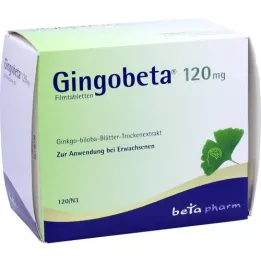 GINGOBETA 120 mg Filmtabletten, 120 St
