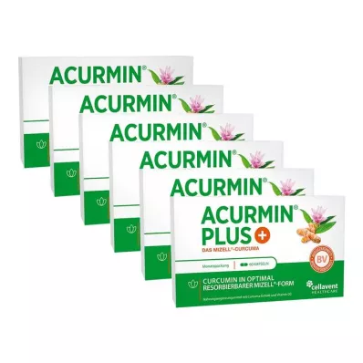 Acurmin Plus Das Mizell-Curcuma Weichkapseln, 360 St