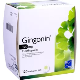 GINGONIN 120 mg Hartkapseln, 120 St