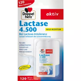 DOPPELHERZ Lactase 4.500 Tabletten, 120 St