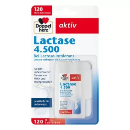 DOPPELHERZ Lactase 4.500 Tabletten, 120 St