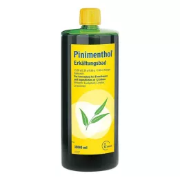 PINIMENTHOL Erkältungsbad ab 12 Jahre, 1000 ml