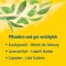 Pinimenthol® Erkältungsbad ab 12 Jahren, 1000 ml