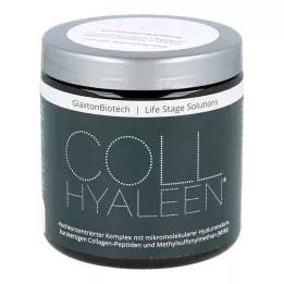 COLLHYALEEN Pulver z.Herst.e.Lösung z.Einnehmen, 180 g