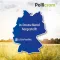 Pollicrom Nasenspray, 15 ml