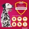 Advantix Spot-on Lösung Hund 25 - 40 kg, 4X4.0 ml
