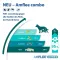 Amflee combo 67/60,3 mg Lösung zum Auftropfen für Hunde 2-10 kg, 3 St