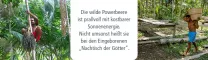 Instructions for use for Acai 100% Bio Pulver ohne Trägerstoffe, 80 g - 2