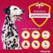 Advantix Spot-on Lösung Hund 40 - 60 kg, 4X6.0 ml