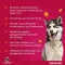 Advantix Spot-on Lösung Hund 40 - 60 kg, 4X6.0 ml