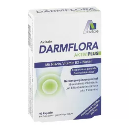Darmflora Aktiv Plus 100 Mrd.Bakterien + 7 Vitamine, 40 St