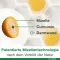 Curcumin-Loges plus Boswellia Kapseln, 60 St