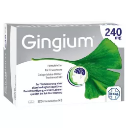 GINGIUM 240 mg Filmtabletten, 120 St
