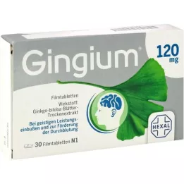 GINGIUM 120 mg Filmtabletten, 30 St