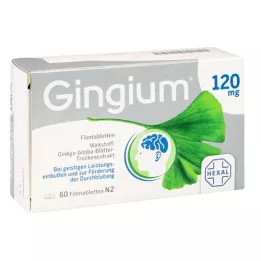 GINGIUM 120 mg Filmtabletten, 60 St
