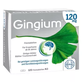 GINGIUM 120 mg Filmtabletten, 120 St