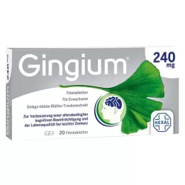 GINGIUM 240 mg Filmtabletten, 20 St