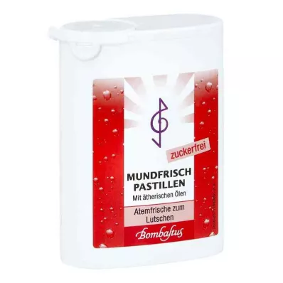 Mundfrisch Pastillen zuckerfrei (35 g)