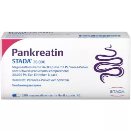 PANKREATIN STADA 20.000 magensaftres.Hartkapseln, 100 St