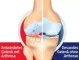 Instructions for use for GELENCIUM® arthro Tropfen, 100 ml - 2