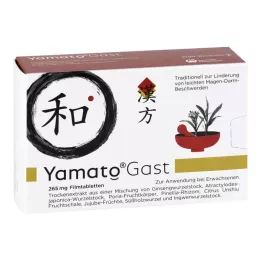 YamatoGast bei leichten Magen-Darm-Beschwerden (63 stk)