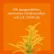 Ubichinon compositum ad us. vet. Ampullen, 10 St