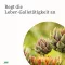 Gallexier Kräuterbitter Elixier Salus Flüss.z.E., 250 ml