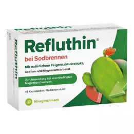 Refluthin bei Sodbrennen Kautabletten Minze, 48 St