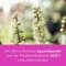 remifemin® PLUS Johanniskraut , 180 St