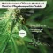 RubaXX® Cannabis CBD Gel (120 ml)