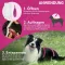 FRONTLINE TRI-ACT gegen Zecke, Floh und fliegende Insekten bei Hunden (2-5kg), 6 St