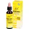 BACHBLÜTEN Original Rescura Tropfen alkoholfrei, 20 ml