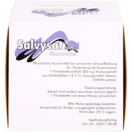 SALVYSAT 300 mg Filmtabletten, 90 St