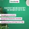 Bronchostop® Sine Hustensaft, 200 ml