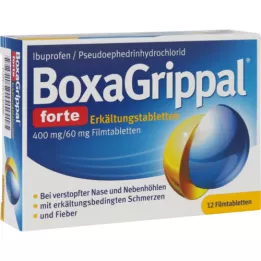 BOXAGRIPPAL forte Erkältungstab. 400 mg/60 mg FTA, 12 St
