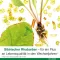 FEMILOGES magensaftresistente Tabletten, 30 St