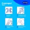 cosmopor® steril Wundverband 10 cm x 8 cm, 5 St