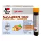 Doppelherz Kollagen 11.000 Curcuma + Ingwer System Trinkampullen, 30X25 ml