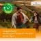 Desloratadin HEUMANN 5 mg Filmtabletten, 20 St